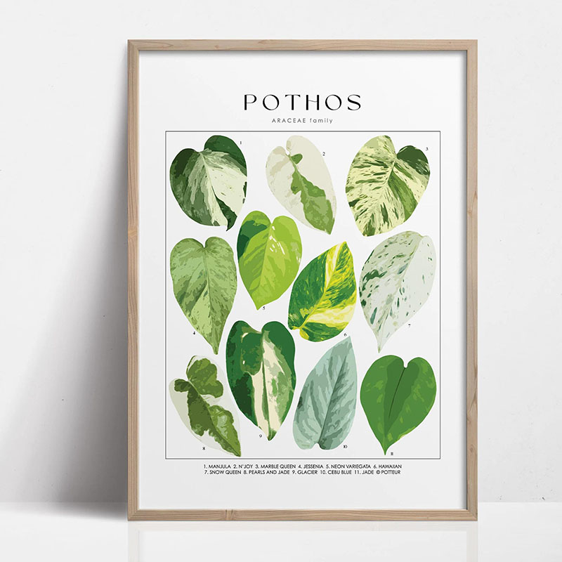 1pc Modern Houseplants Leaves  - đánh giá và giá Photography Pose