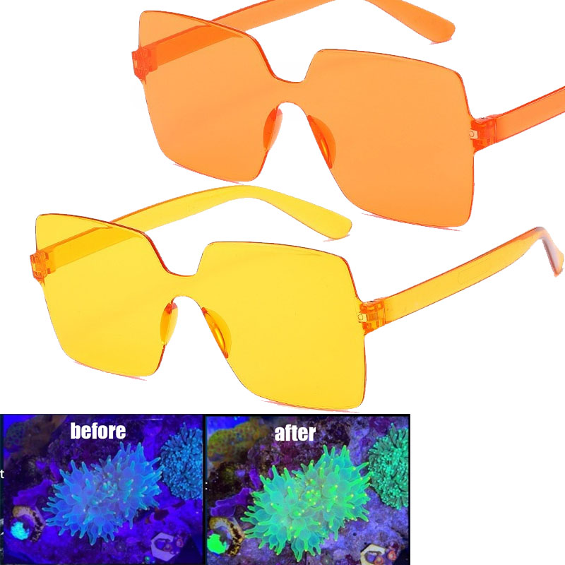 Coral Observation Glasses Cora - đánh giá và giá Photography Natural Lighting
