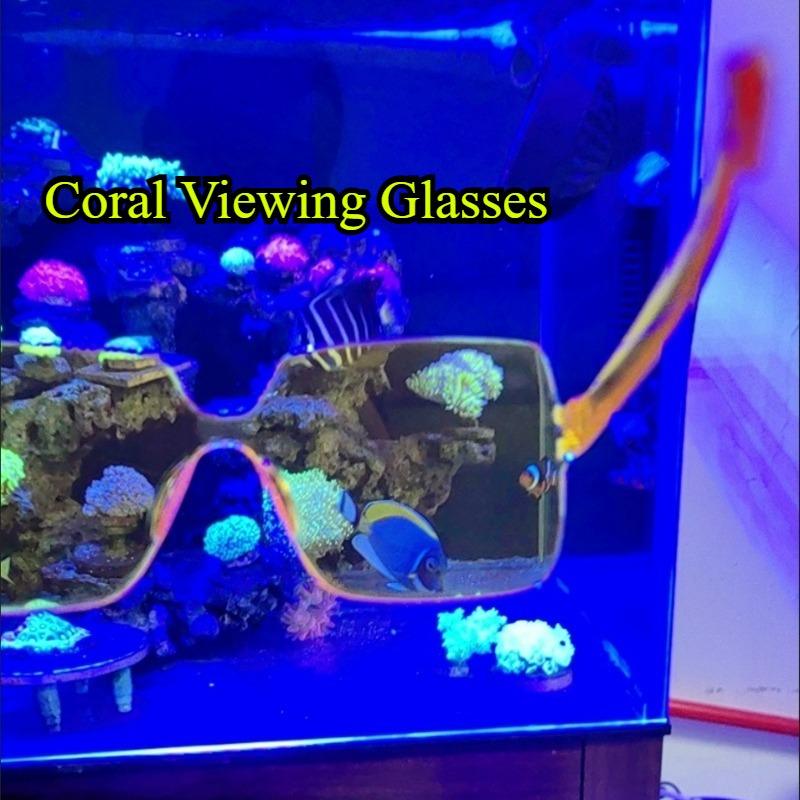 Coral Observation Glasses Cora - đánh giá và giá Photography Natural Lighting
