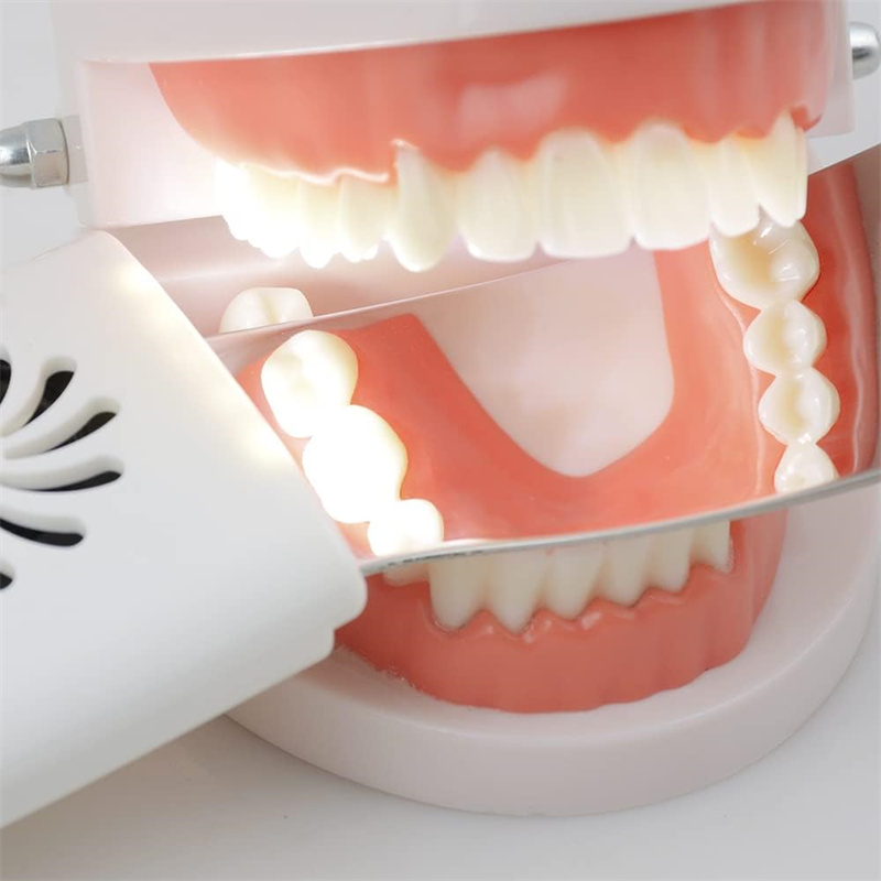 Dental Anti-Fog Mirrors With L - đánh giá và giá Photography Yellow